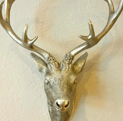 公寓 Gaestehaus Sonnenhuegel 莫内西